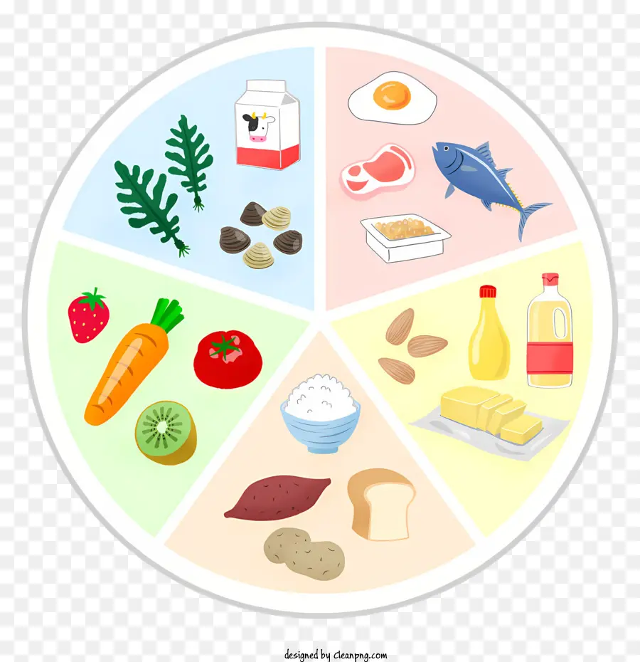 Comida Saludable，Diagrama Circular PNG