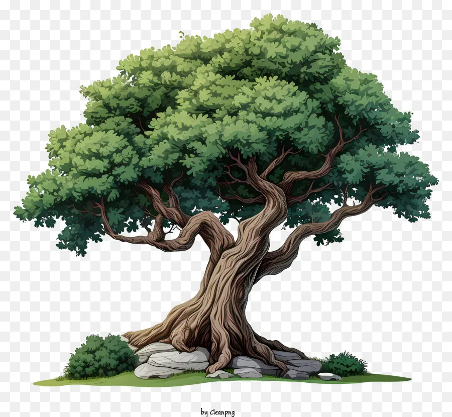 árbol Grande En Colores Pastel，Árbol PNG