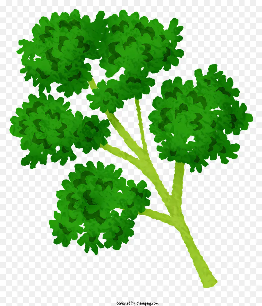 árbol Verde，Hojas PNG