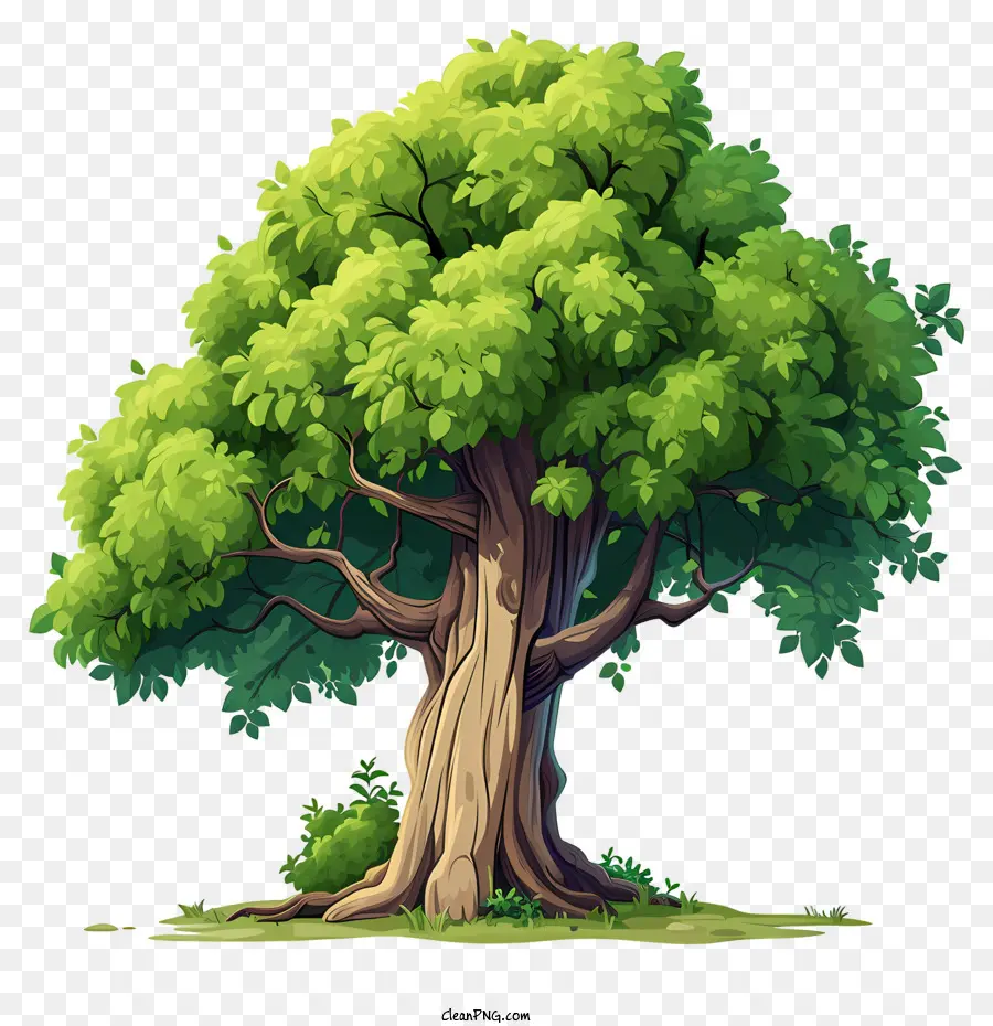 árbol Grande De Estilo Garabato，Árbol PNG