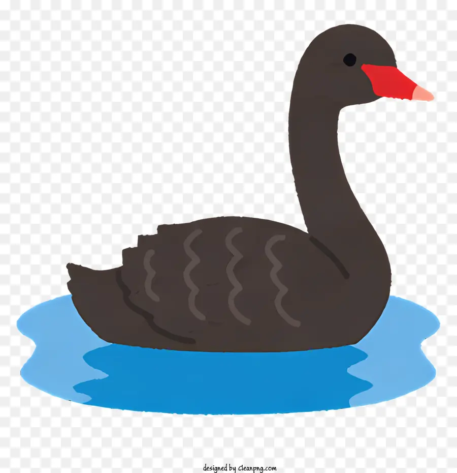 Aves，Cisne Negro PNG