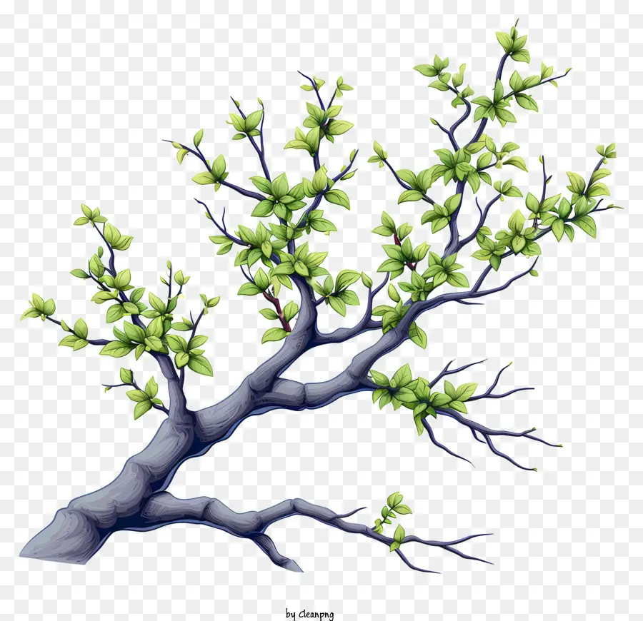 Rama De árbol Estilo Doodle，Rama De árbol PNG