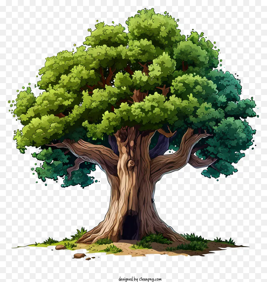 árbol Grande Dibujado A Mano，Viejo árbol PNG