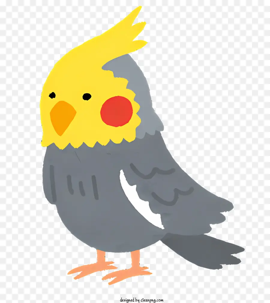 Aves，Pájaro Amarillo PNG