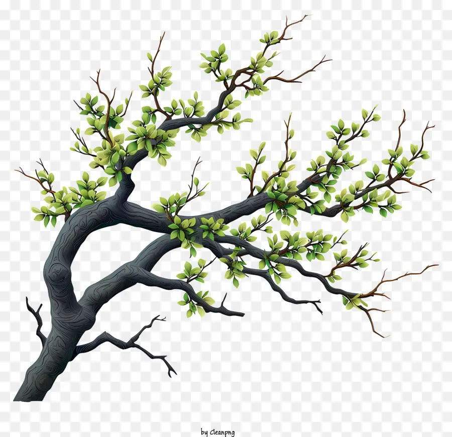 Rama De árbol Estilo Doodle，Rama De árbol PNG