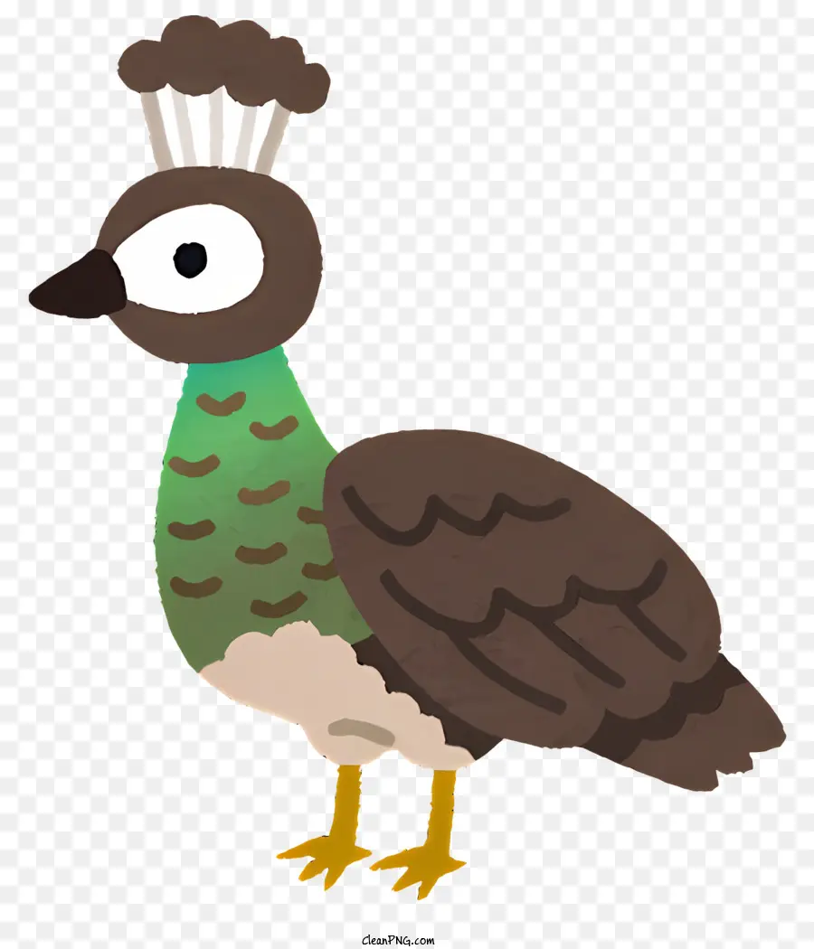 Pájaro，Pájaro Coronado PNG