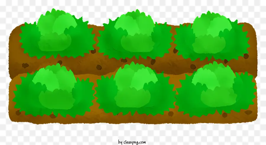 Campo，Las Plantas Verdes PNG