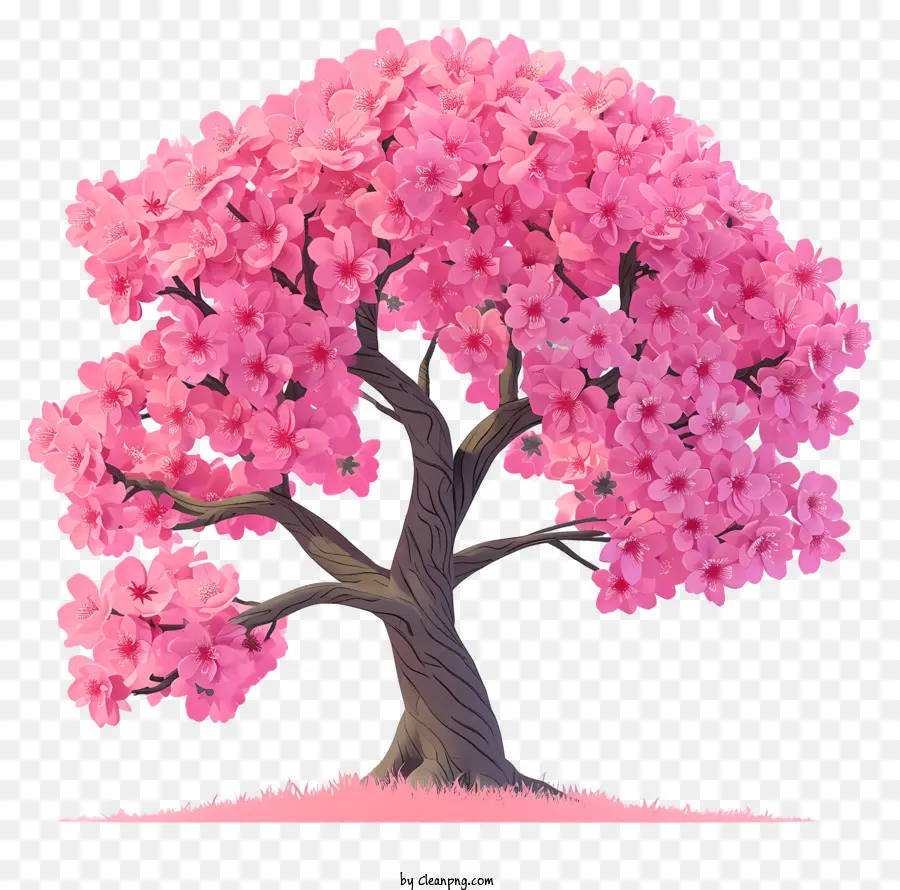 Árbol Plano De Cerezo，Rosa árbol PNG