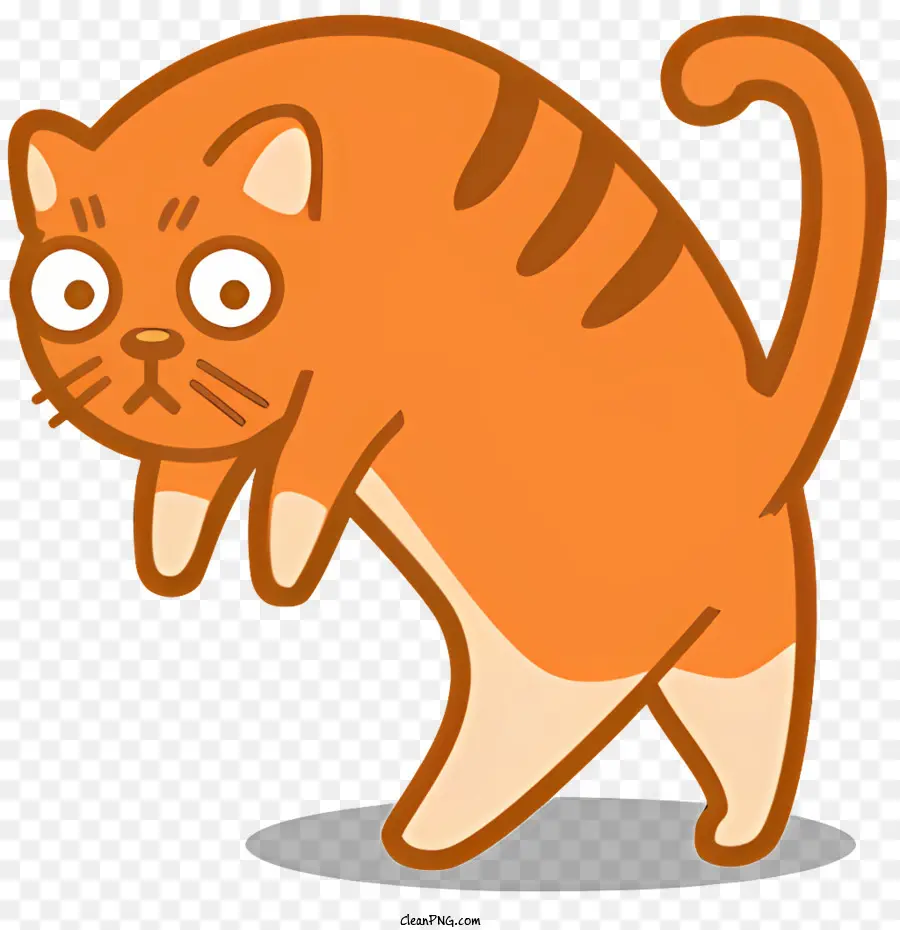 Gato De Dibujos Animados，Mascota PNG