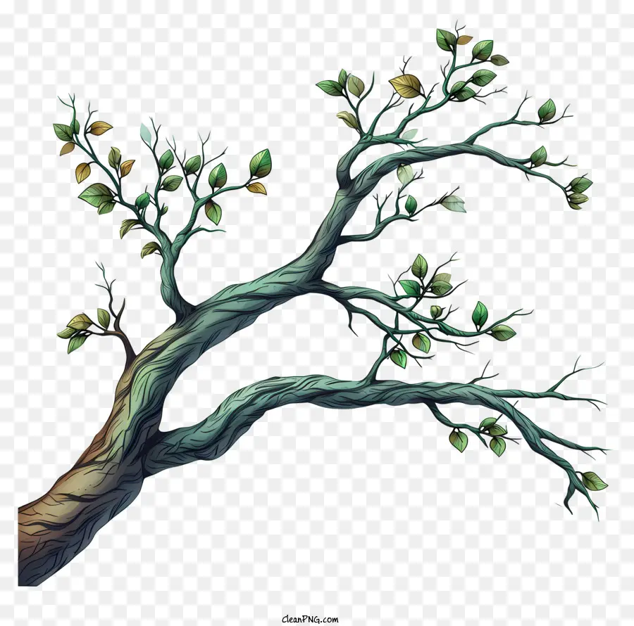 Rama De árbol Dibujada A Mano，Árbol PNG