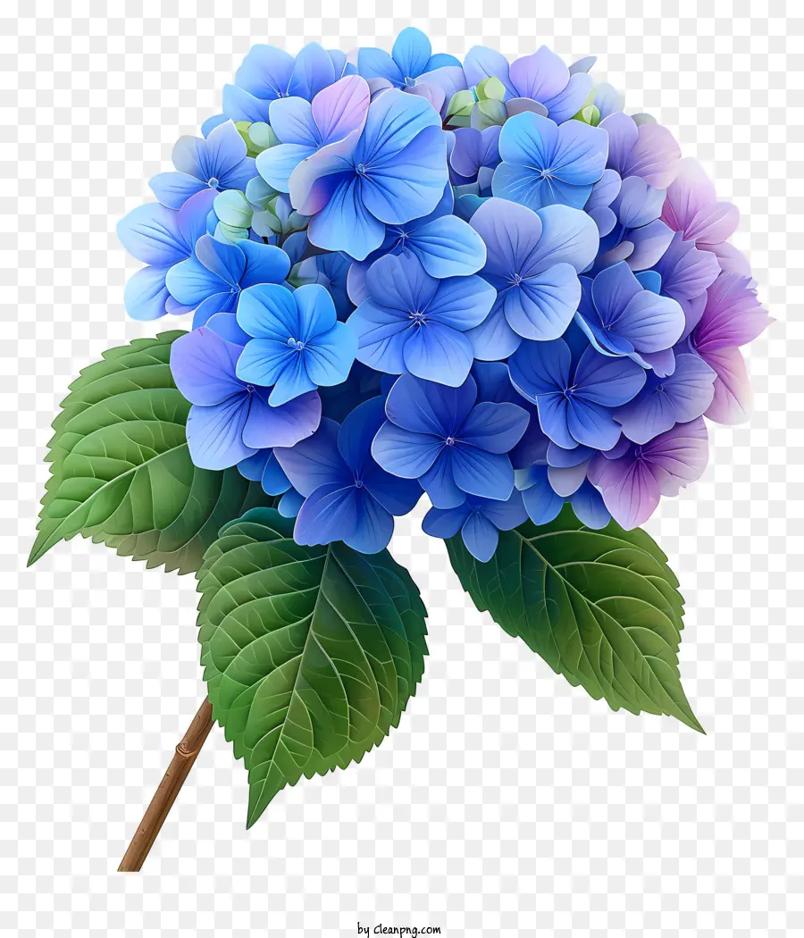 Flor De Hortensia En Pastel，Hidrante Azul PNG