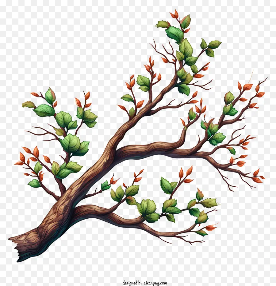 Rama De árbol Dibujada A Mano，Rama Con Hojas PNG