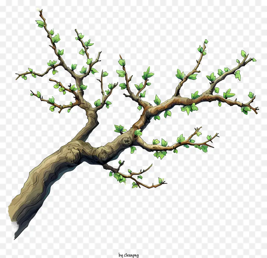 Rama De árbol Dibujada A Mano，Árbol PNG