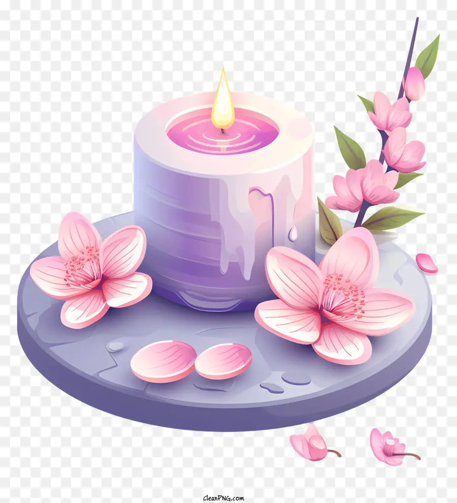 Spa，Vela Y Flor PNG