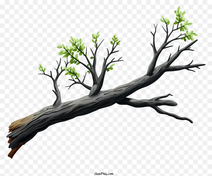 Rama De árbol De Estilo Boceto，Rama De árbol PNG