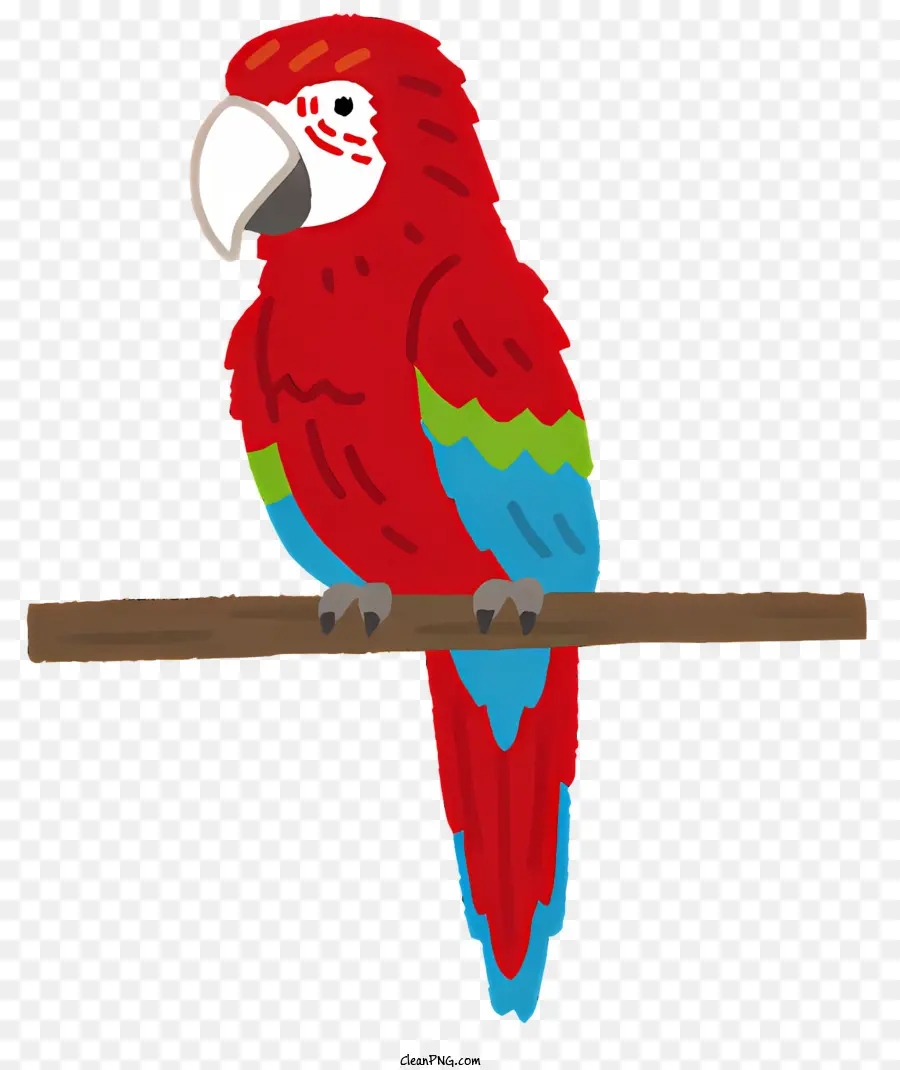 Aves，Loro Rojo Y Verde PNG