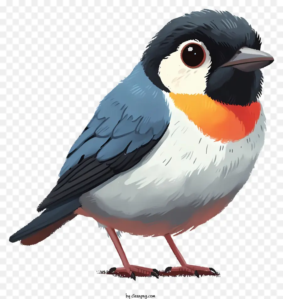 Pájaro Estilo Garabato，Pájaro Pequeño PNG