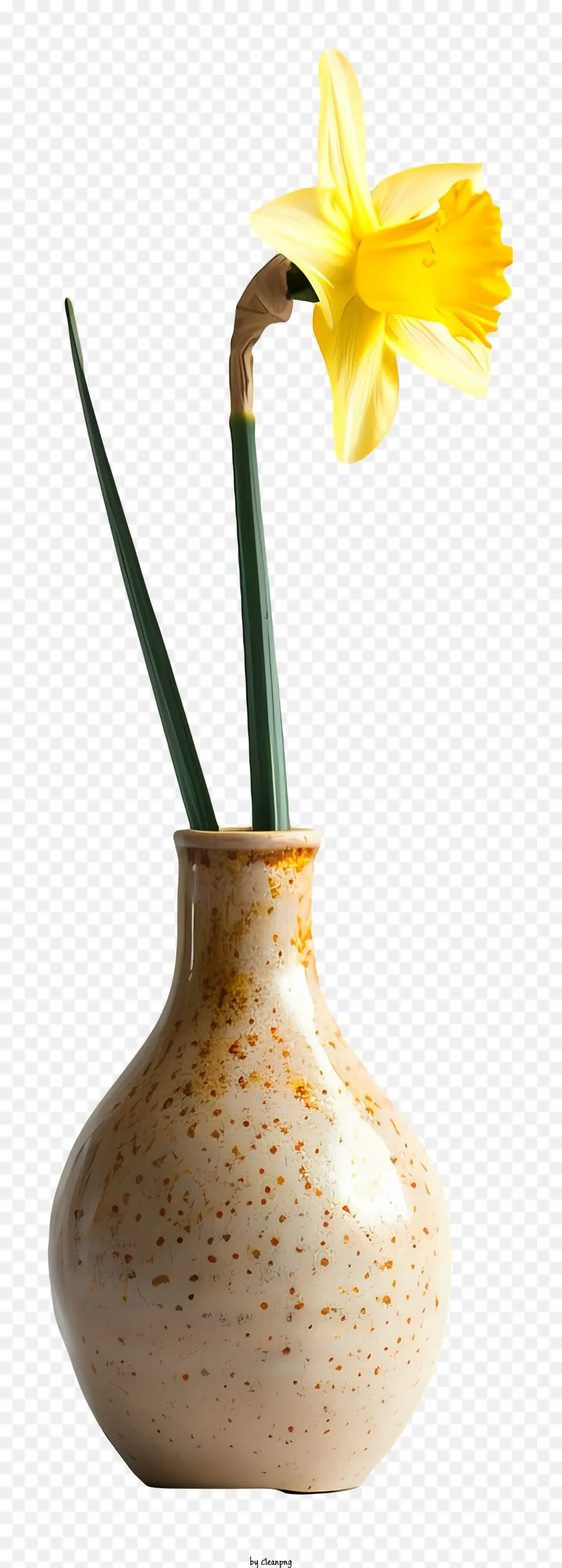 Narciso，Florero PNG