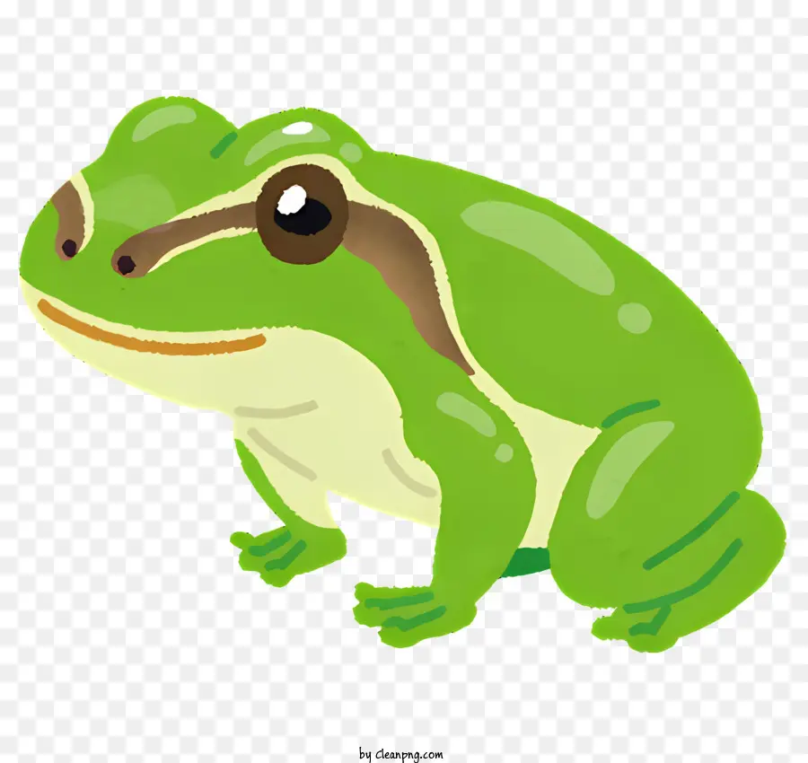 Cartoon Frog，Rana En Sudadera Con Capucha PNG