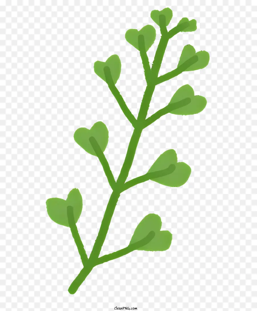 Planta，Madre PNG