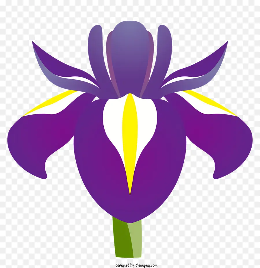 Flores，Flor PNG