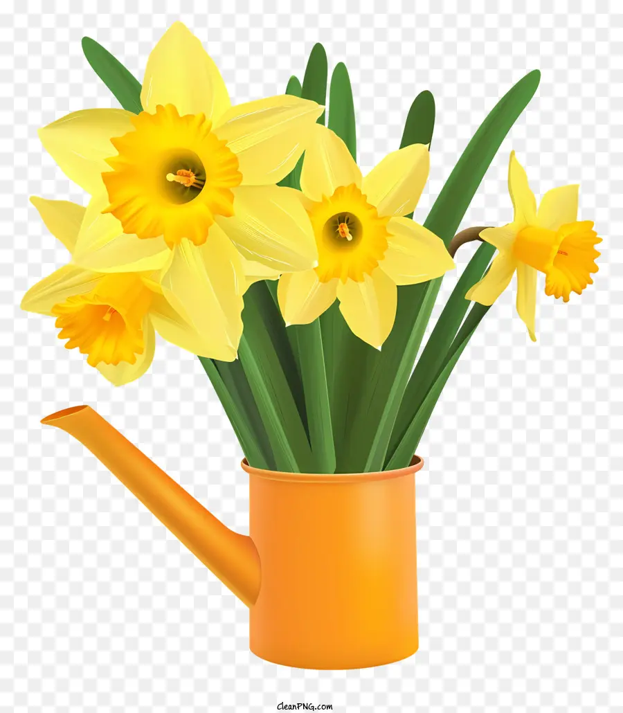 Arte Vectorial Simplista De Narciso，Florero PNG