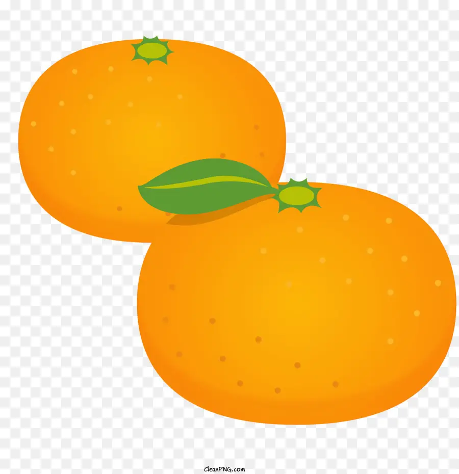 Naranja，Planta PNG