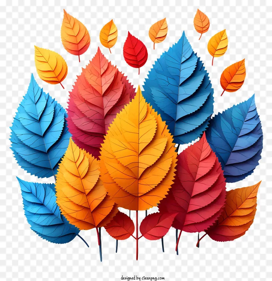 Autumn Leaves，Follaje Colorido PNG