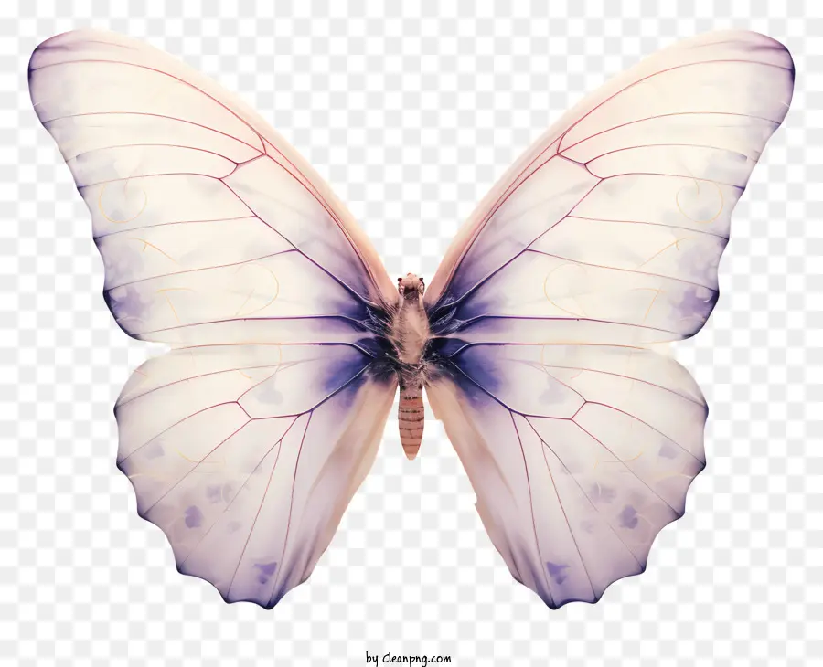 Mariposa，Iridiscente PNG