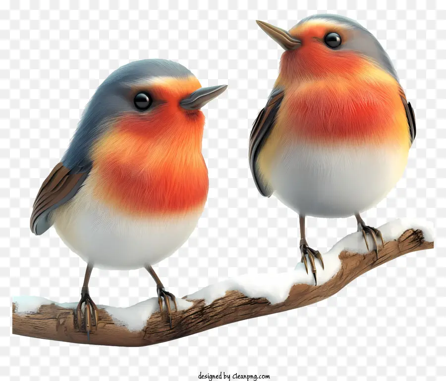 Pájaros Temblorosos，Aves PNG