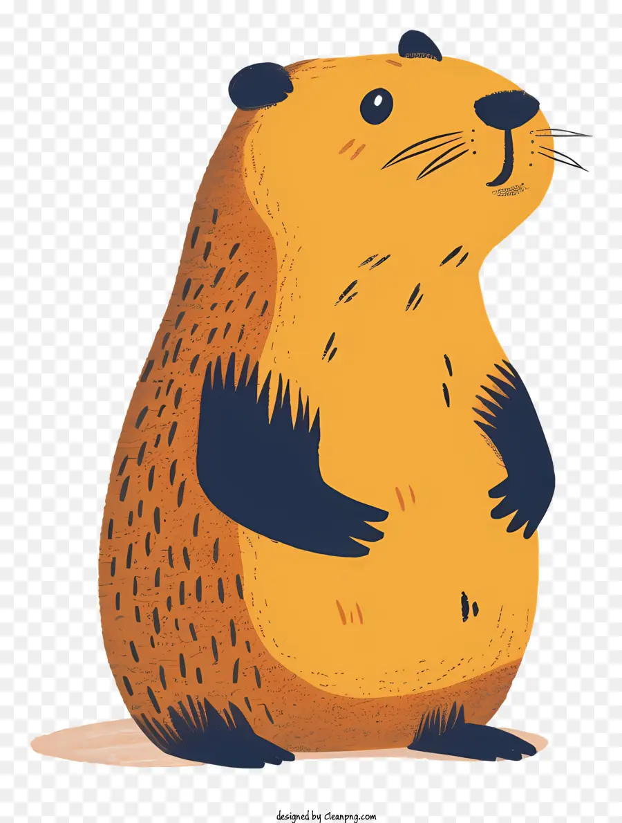 Marmota De Dibujos Animados，De La Marmota PNG