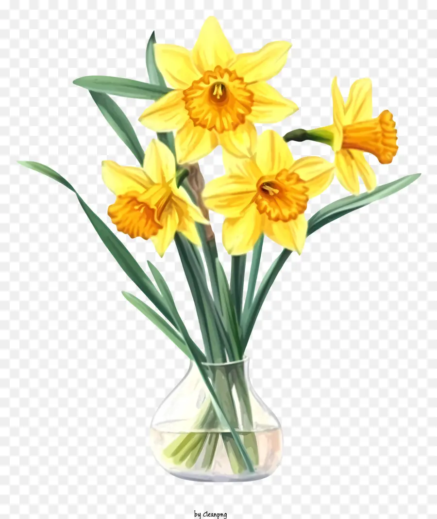 Arte Vectorial Simplista De Narciso，Florero De Cristal PNG