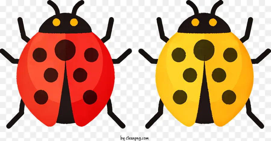 Ladybug，Rojo Mariquita PNG