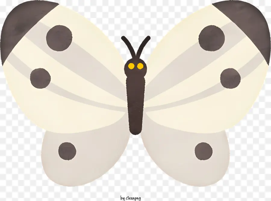 Mariposa，Mariposa Blanca PNG