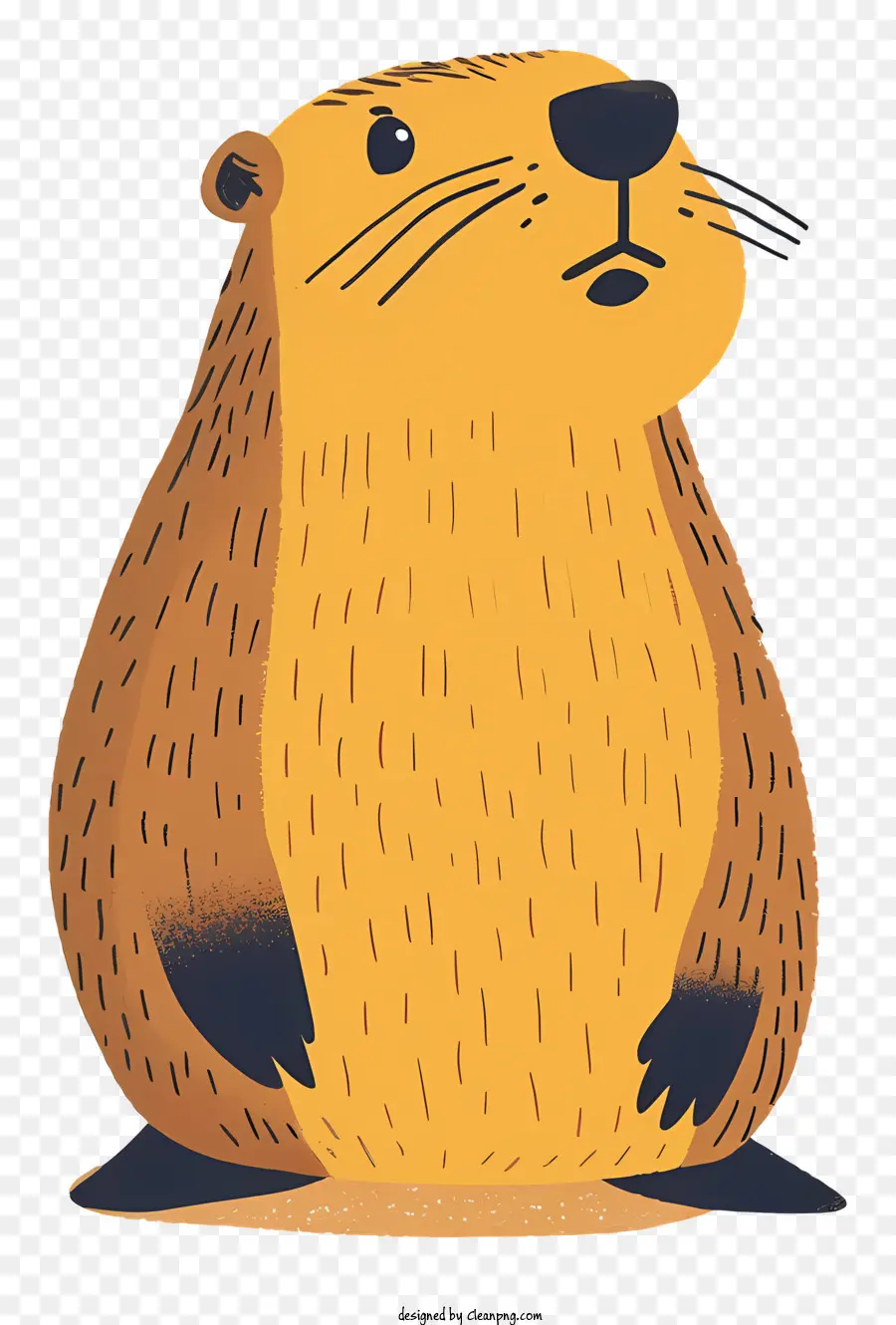 Marmota De Dibujos Animados，Dibujos Animados De Castor PNG