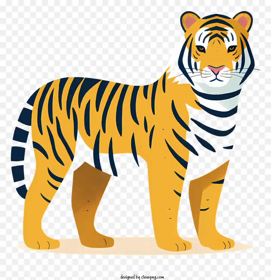 Tigre，Cara De Tigre PNG