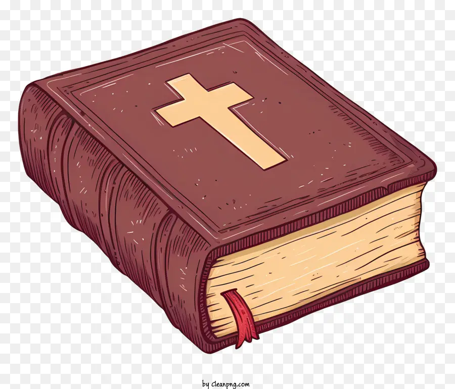 Libro De La Santa Biblia，Biblia PNG