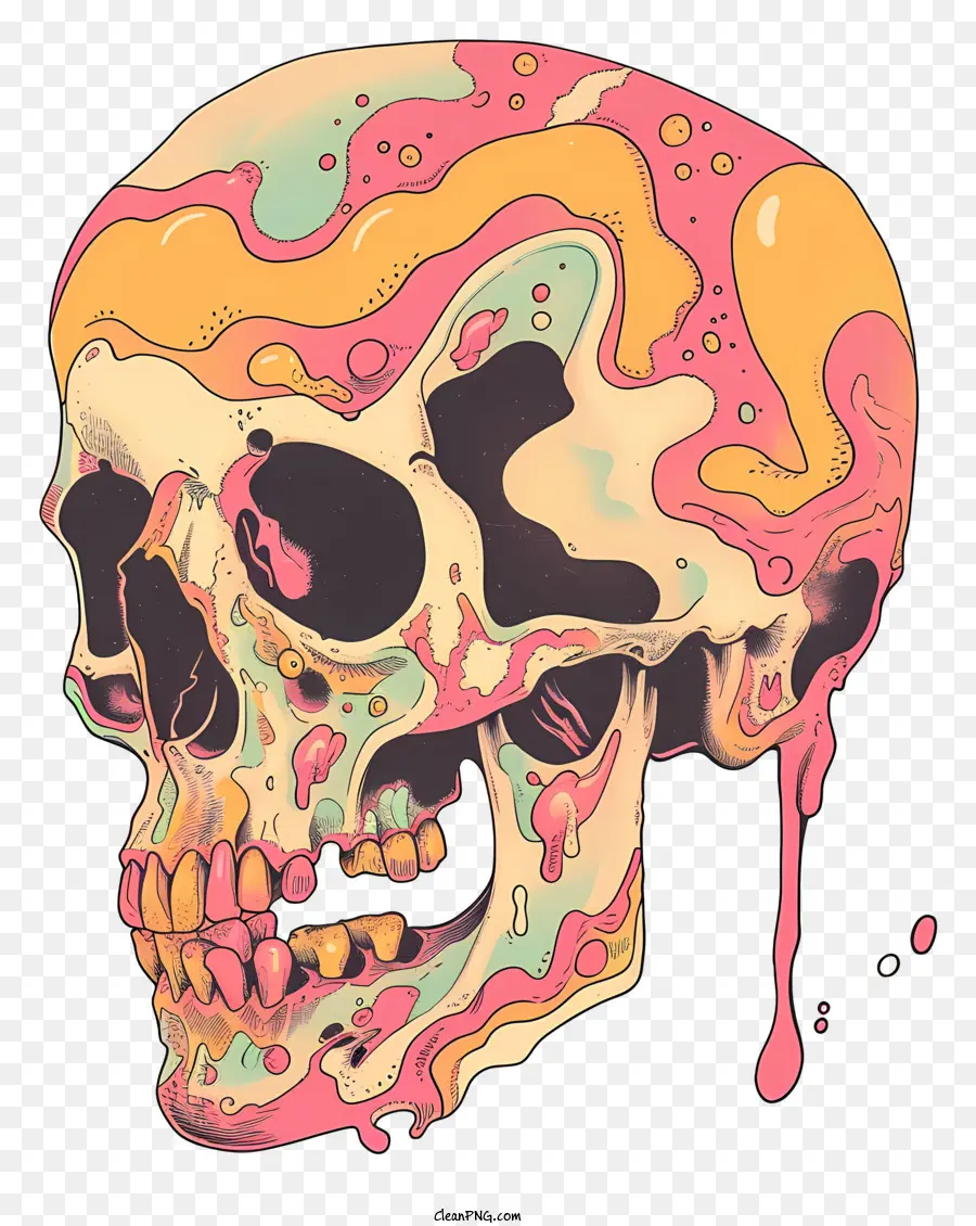 Calavera De Muerte，Cráneo PNG