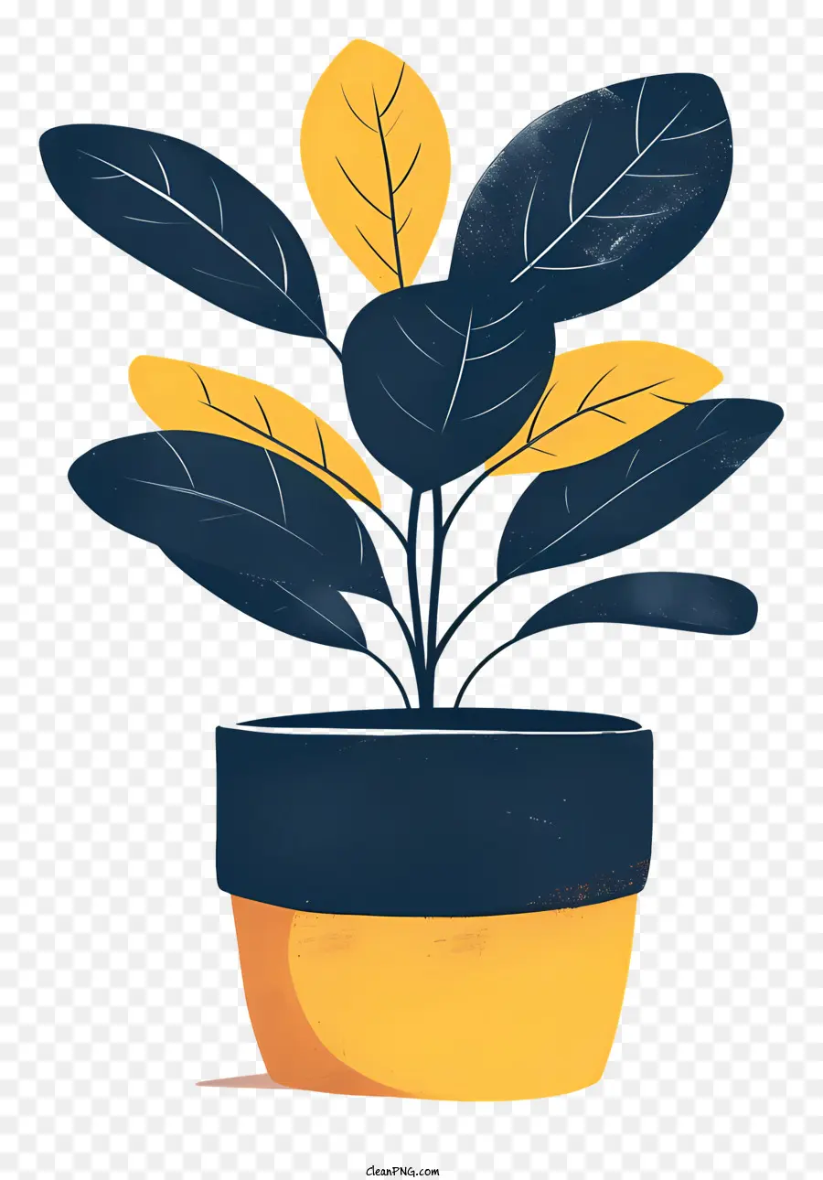 Moderna De La Maceta，Planta De Maceta PNG