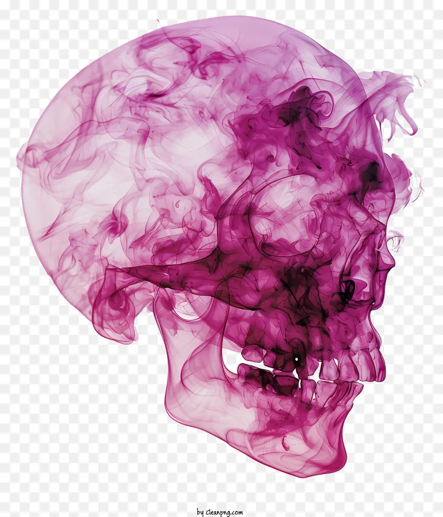 Calavera De Muerte，Calavera Morada PNG