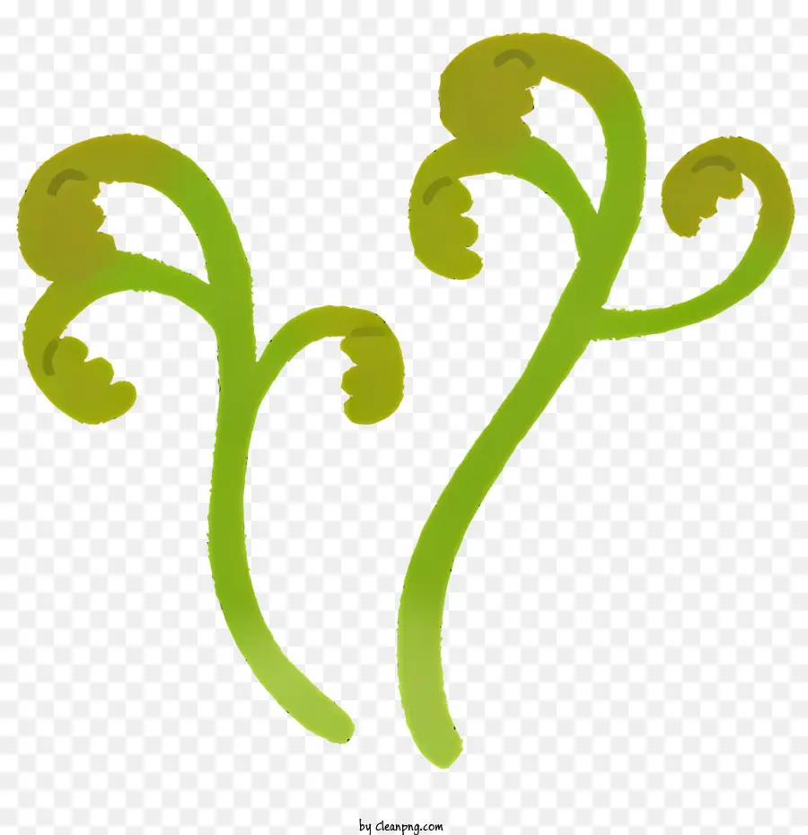 Planta，Hojas PNG