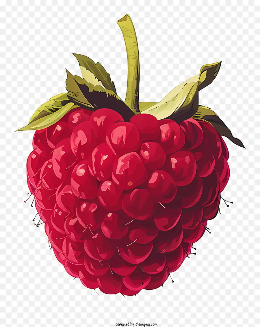 Frambuesa，Rojo PNG