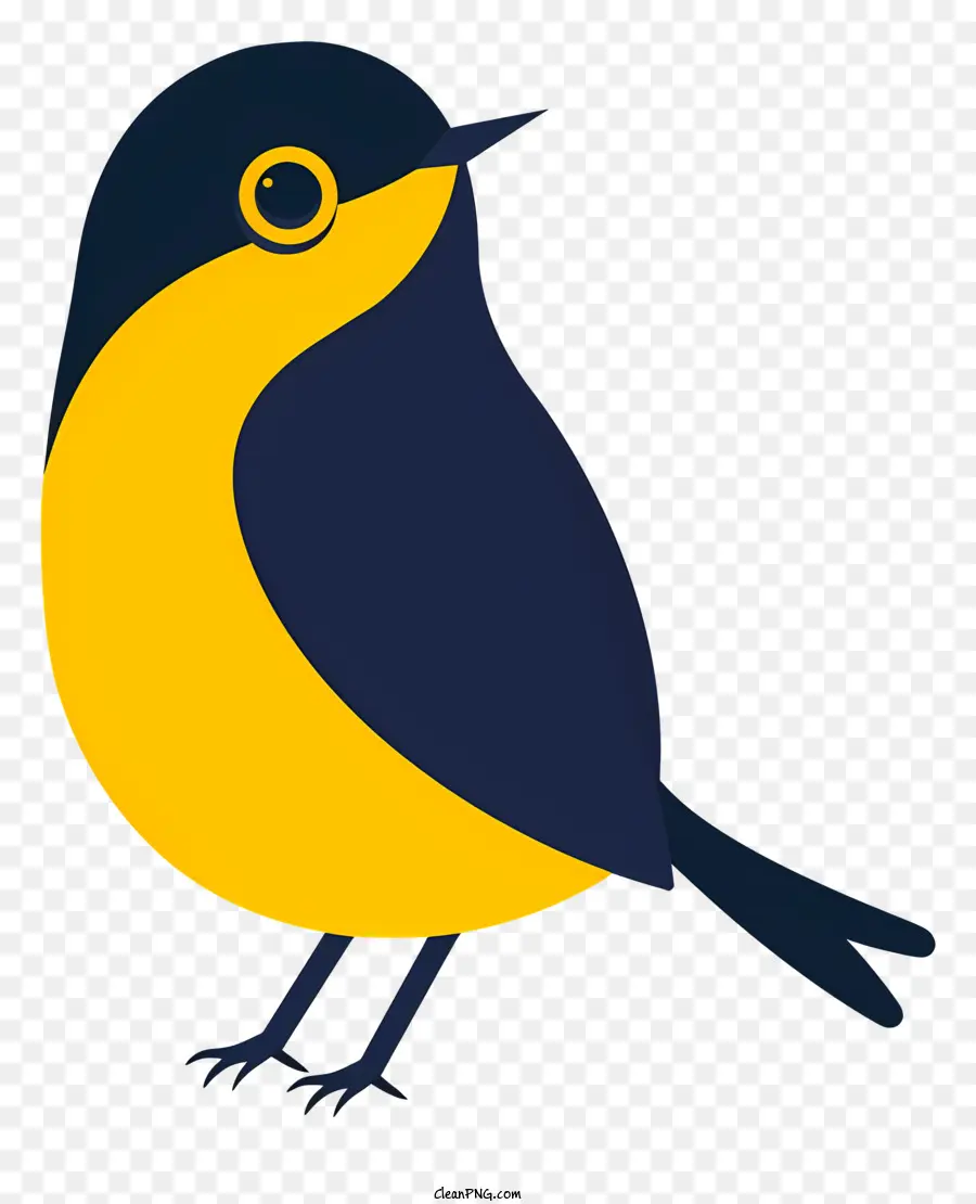 Pájaro De Dibujos Animados，Pájaro Amarillo Y Azul PNG