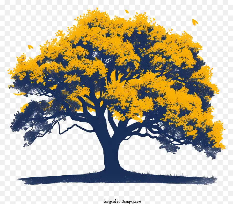 árbol De Roble，árbol Majestuoso PNG