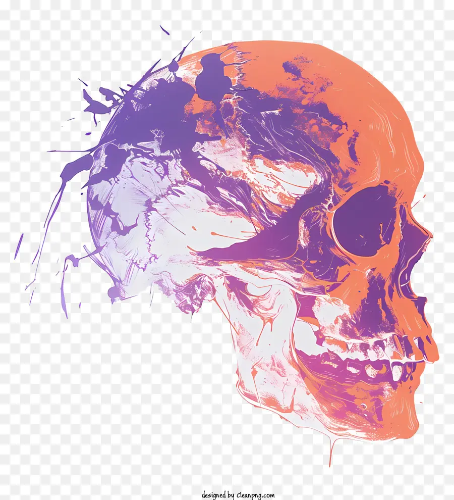 La Muerte De Cráneo，Cráneo Humano PNG