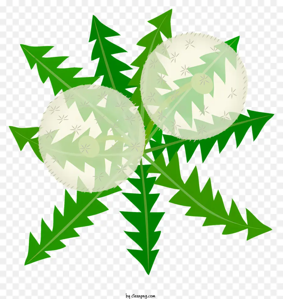 Diente De León，Planta Verde PNG