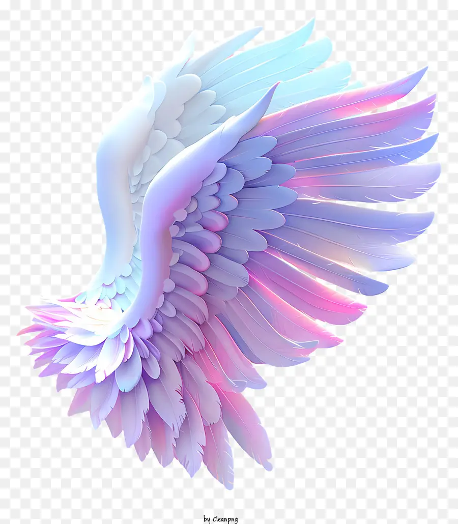 Alas De ángel，Las Alas De Las Aves PNG