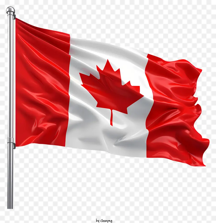 Día De La Bandera De Canadá，Bandera Canadiense PNG