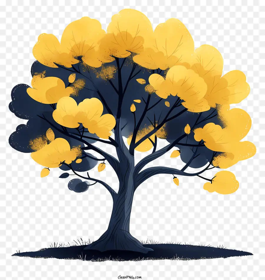 árbol，Árbol PNG