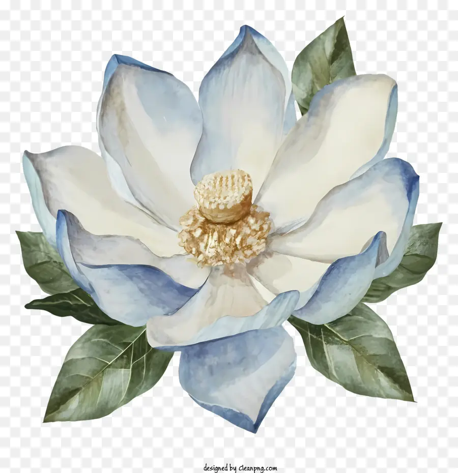 Ilustraciones Detalladas，Elegante Flor De Azalea PNG